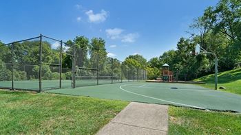 Basketball court